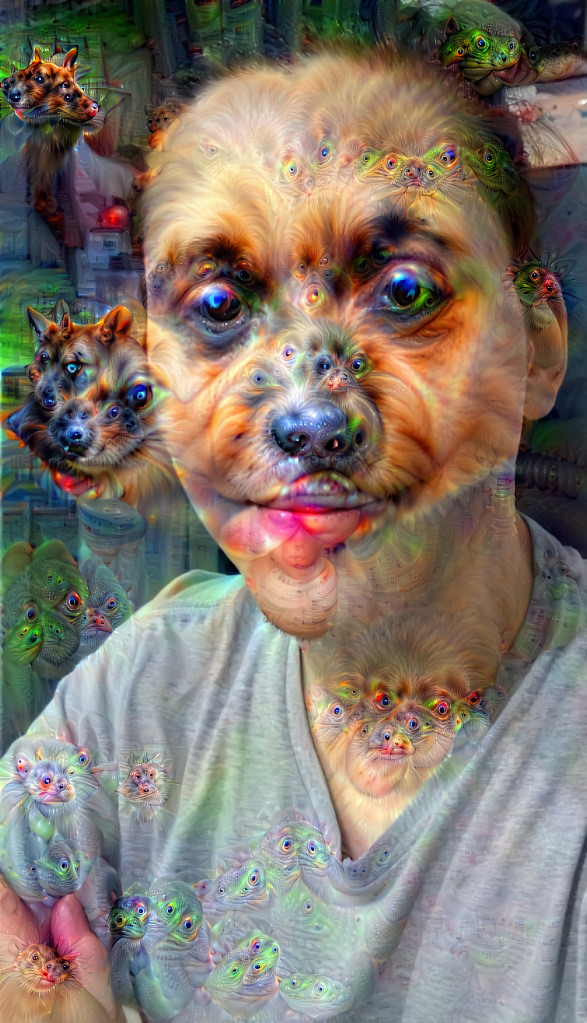 Filtro de Cachorro