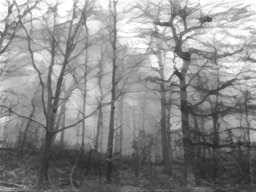 Spooky Forest