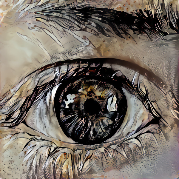 Eye