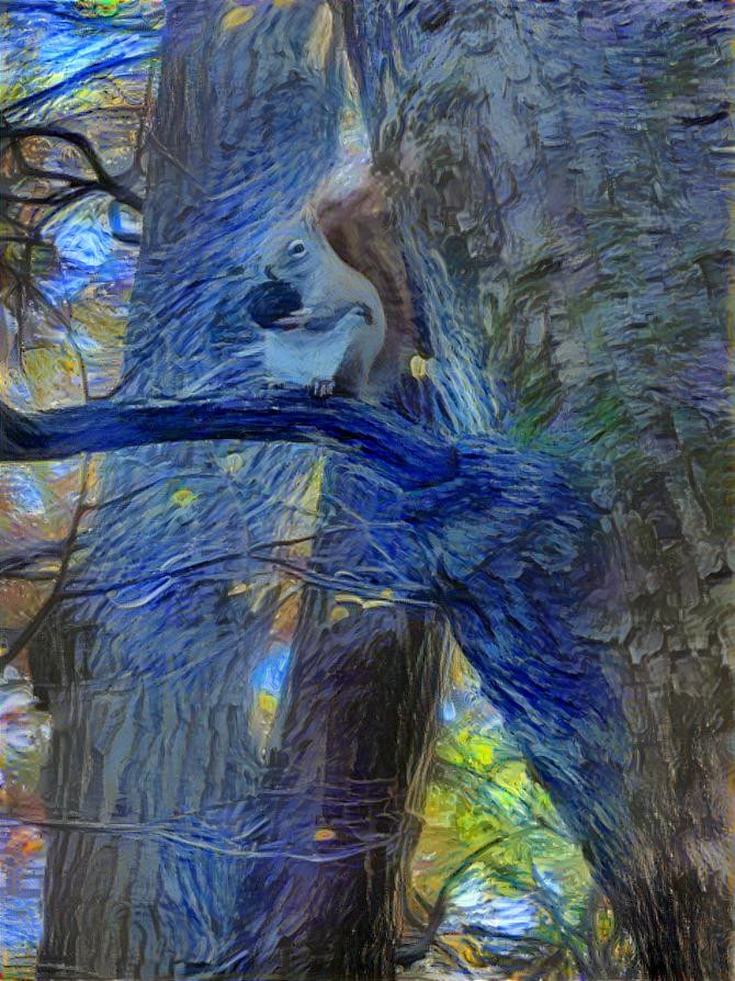 Starry squirrel 