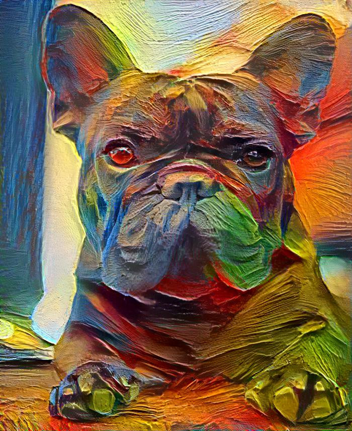 French Bulldog