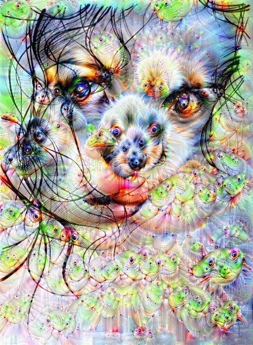 Type:      Deep Dream 2   Level:      0  Used settings:      Enhance: None     Resolution: 0.36MP     Inception Depth: Normal     Layer: 14