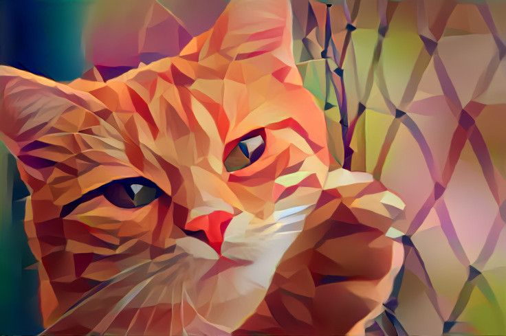 Abstract cat