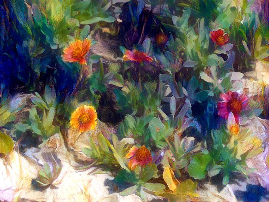 Seaside Flowers