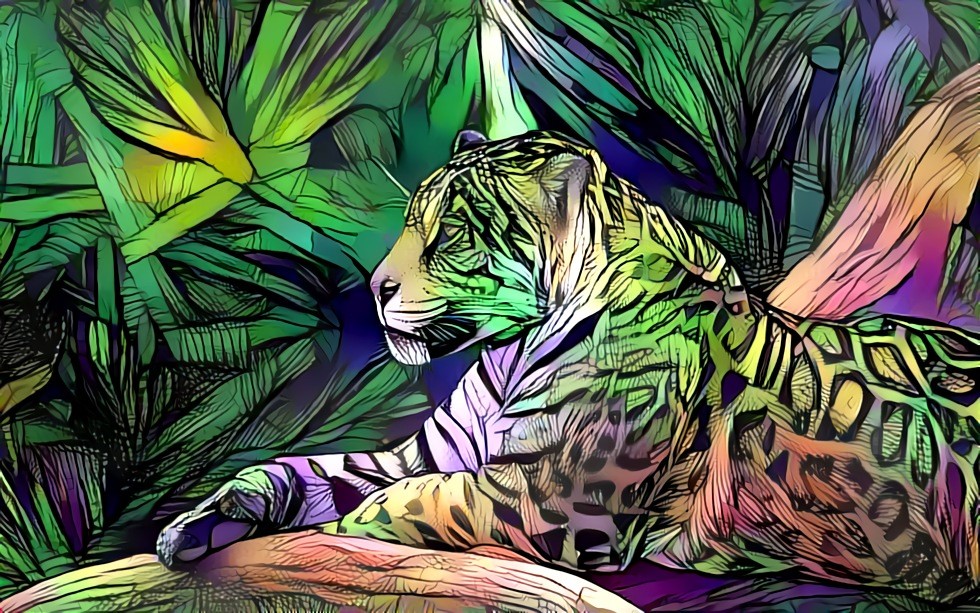 Jaguar