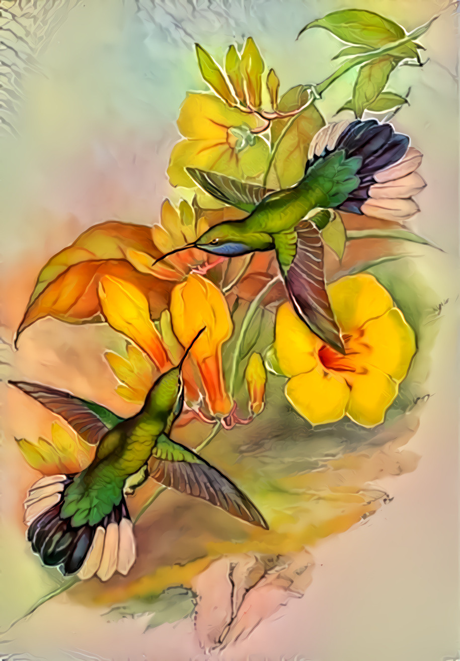 Hummingbirds