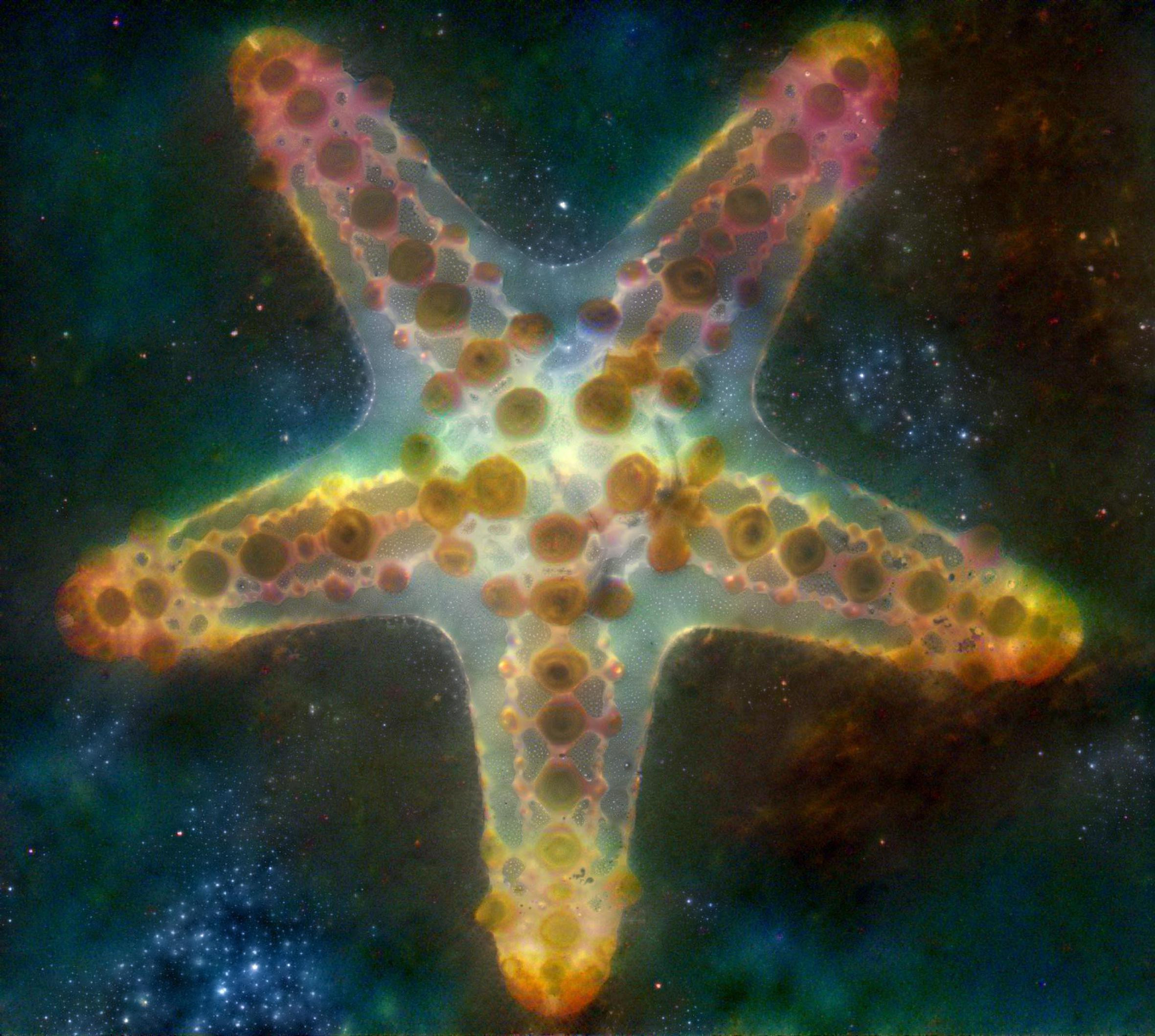 Starfish 2