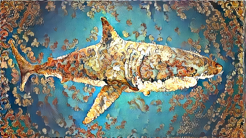 Chinese Shark