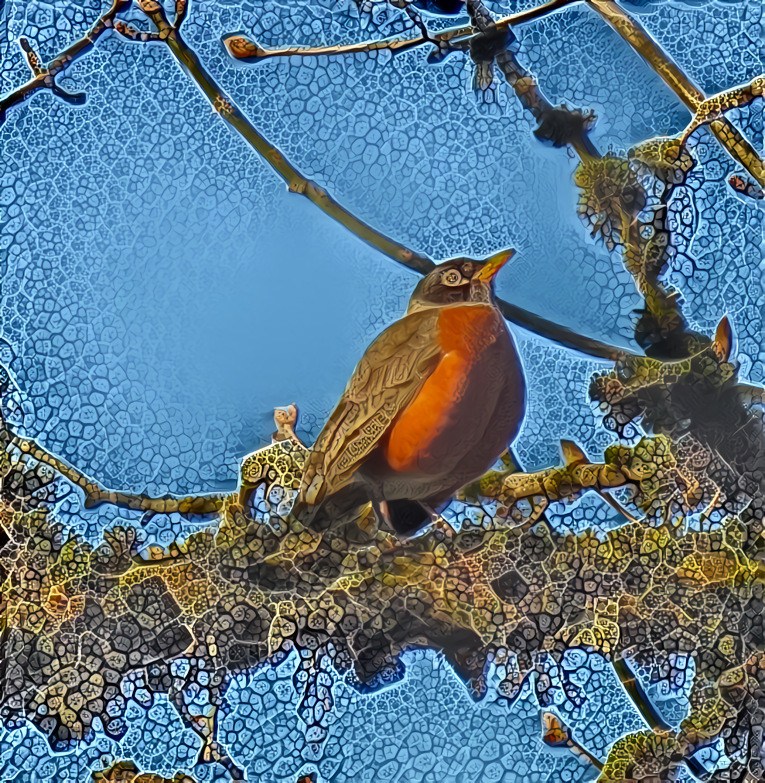 robin redbreast singing