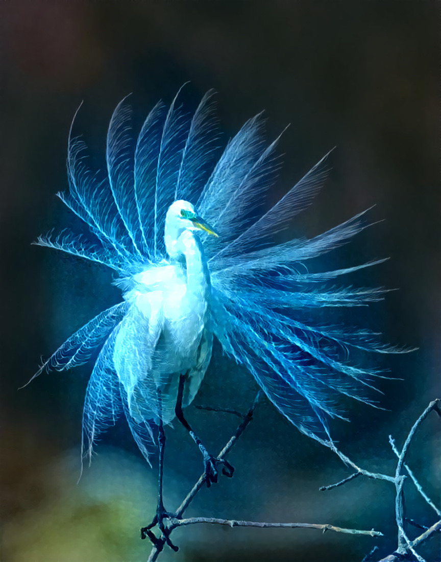 Lightning Egret