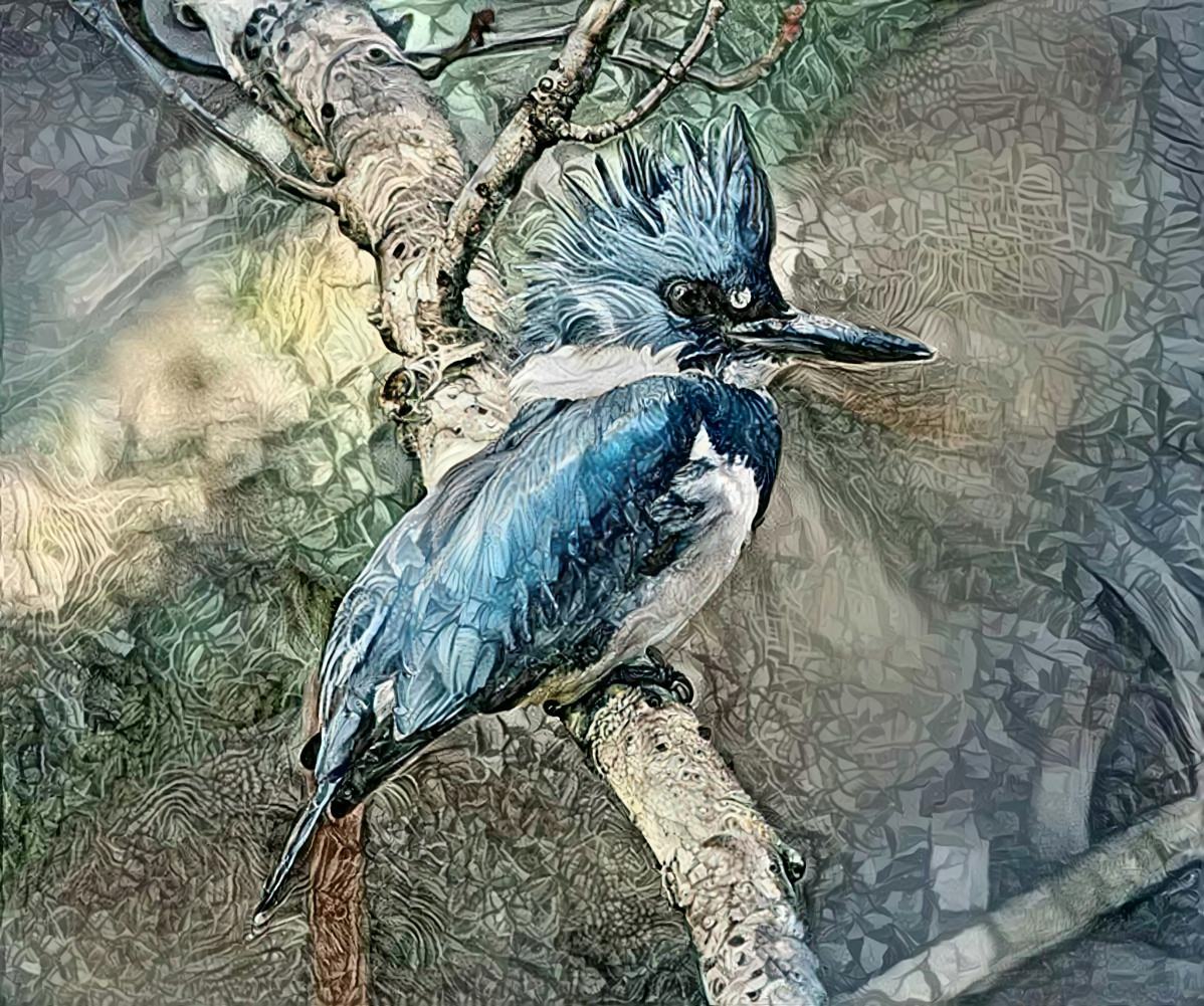 Kingfisher