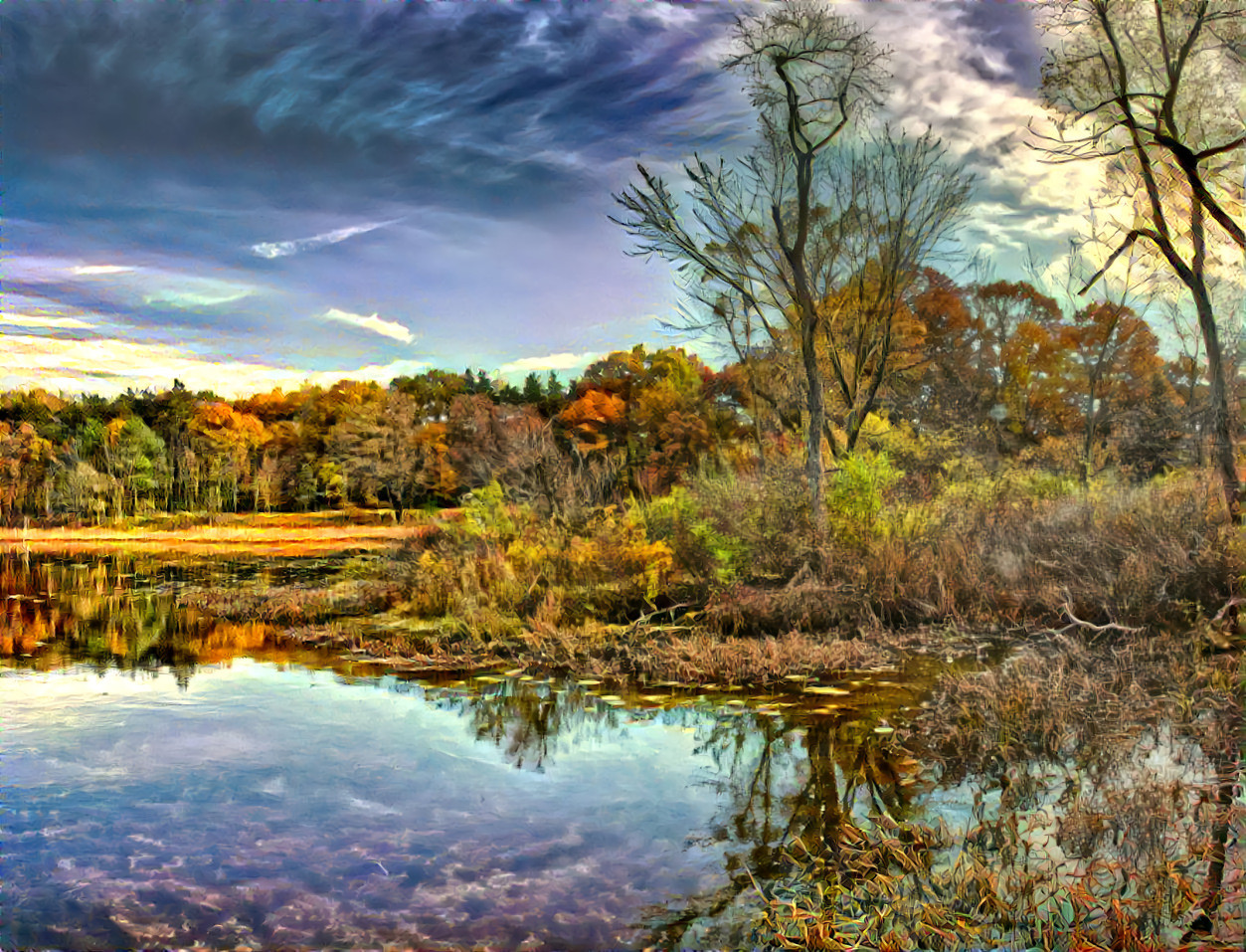 Autumn on the marsh