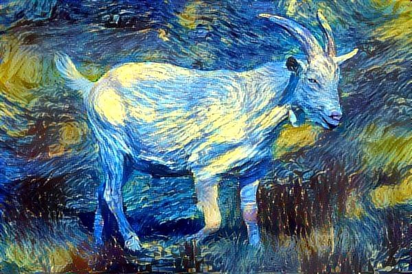 Starry Van Goat