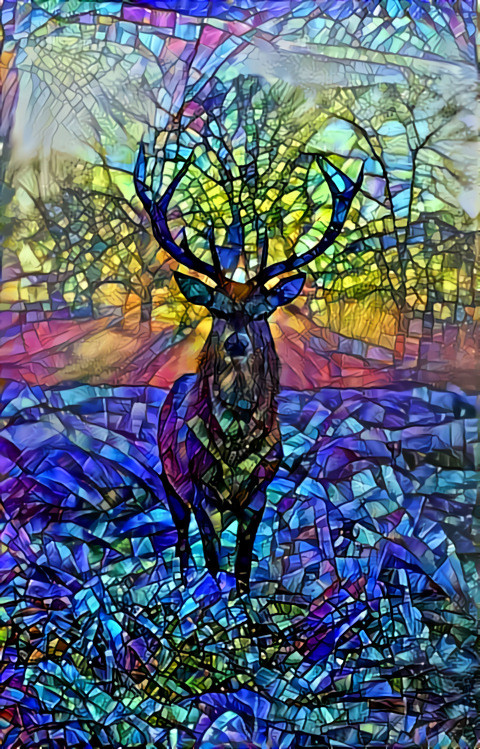 The Forest Spirit