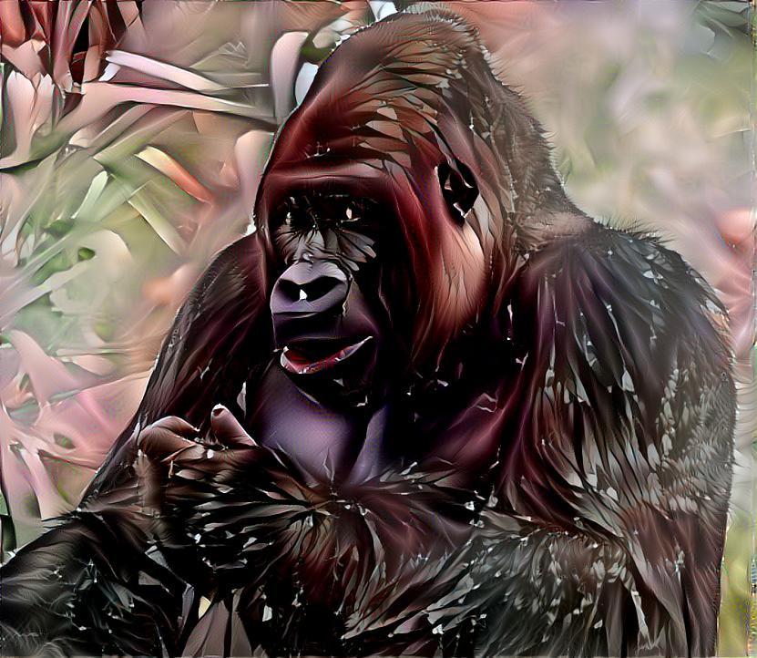 Gorilla