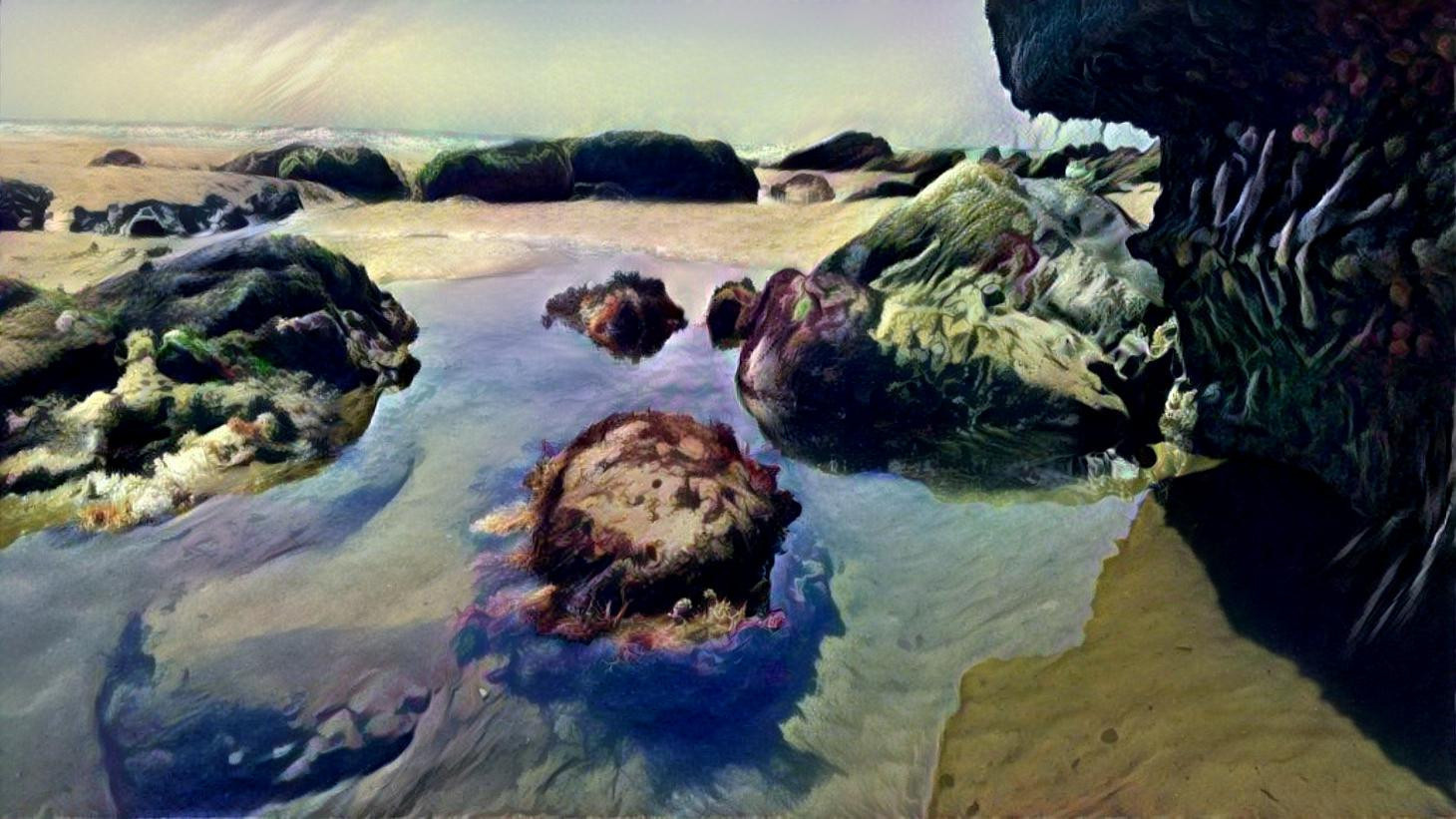 Tidal Pool