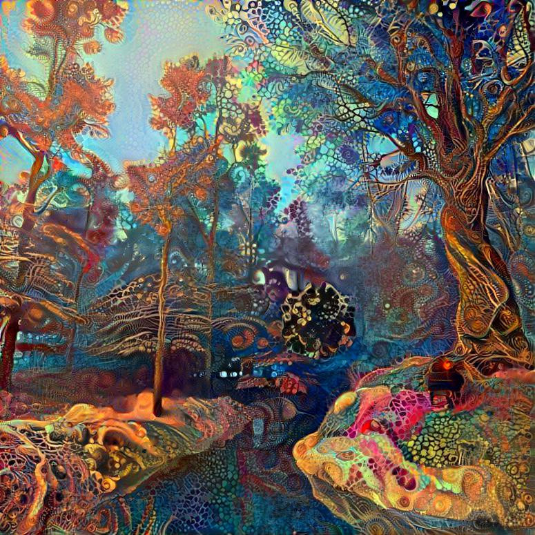 DMT land