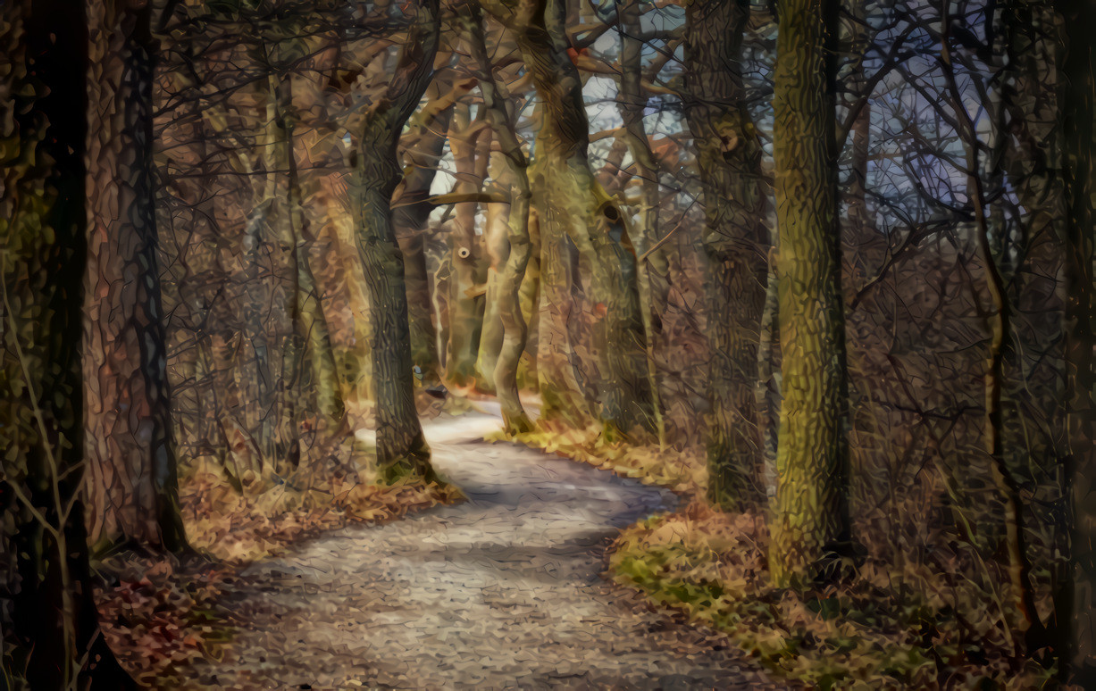 Autumn Path