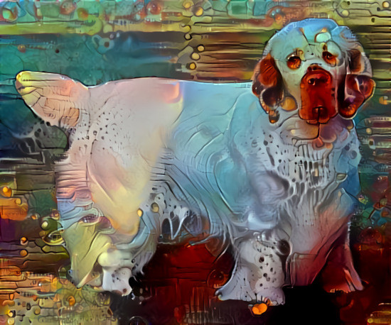 Clumber spaniel