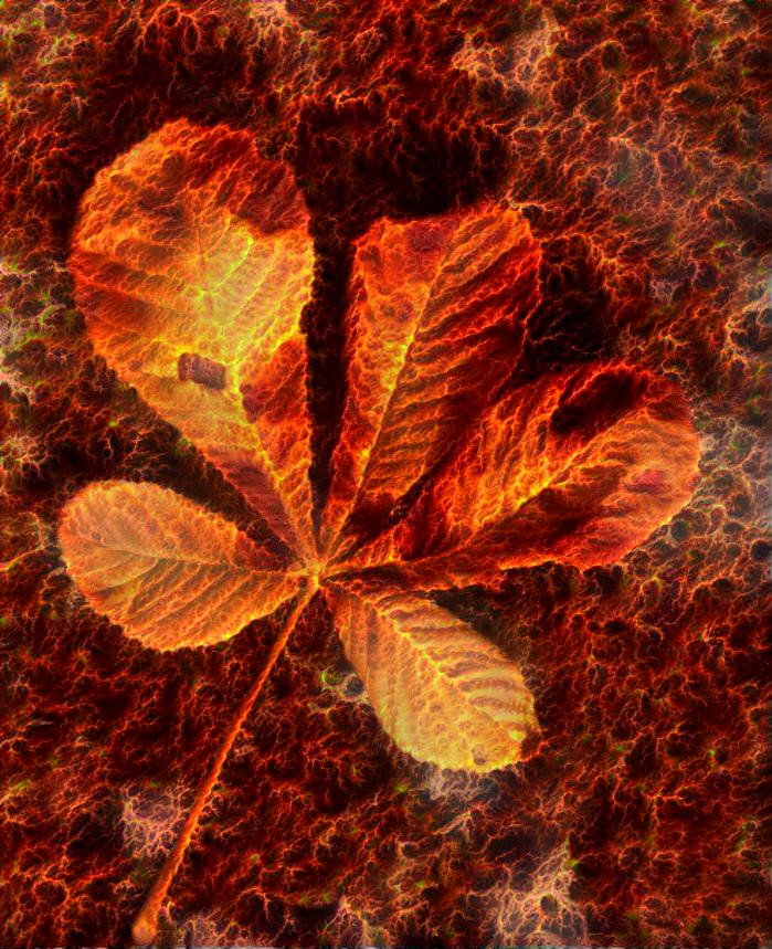 burning leaf