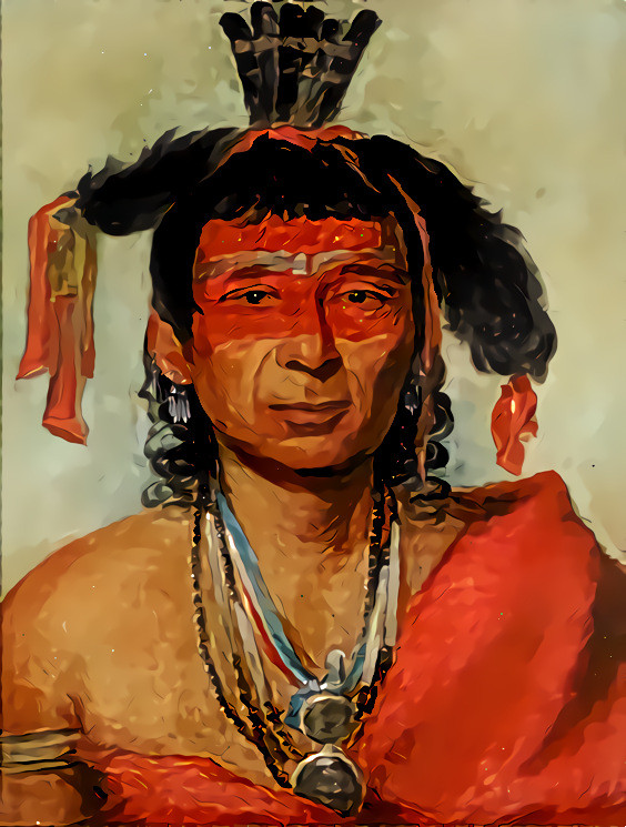 From Catlin, Másh-kee-wet,  1831