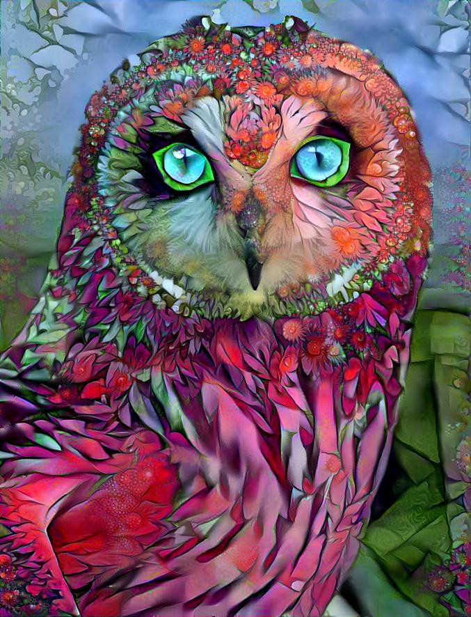 Gem-like Owl