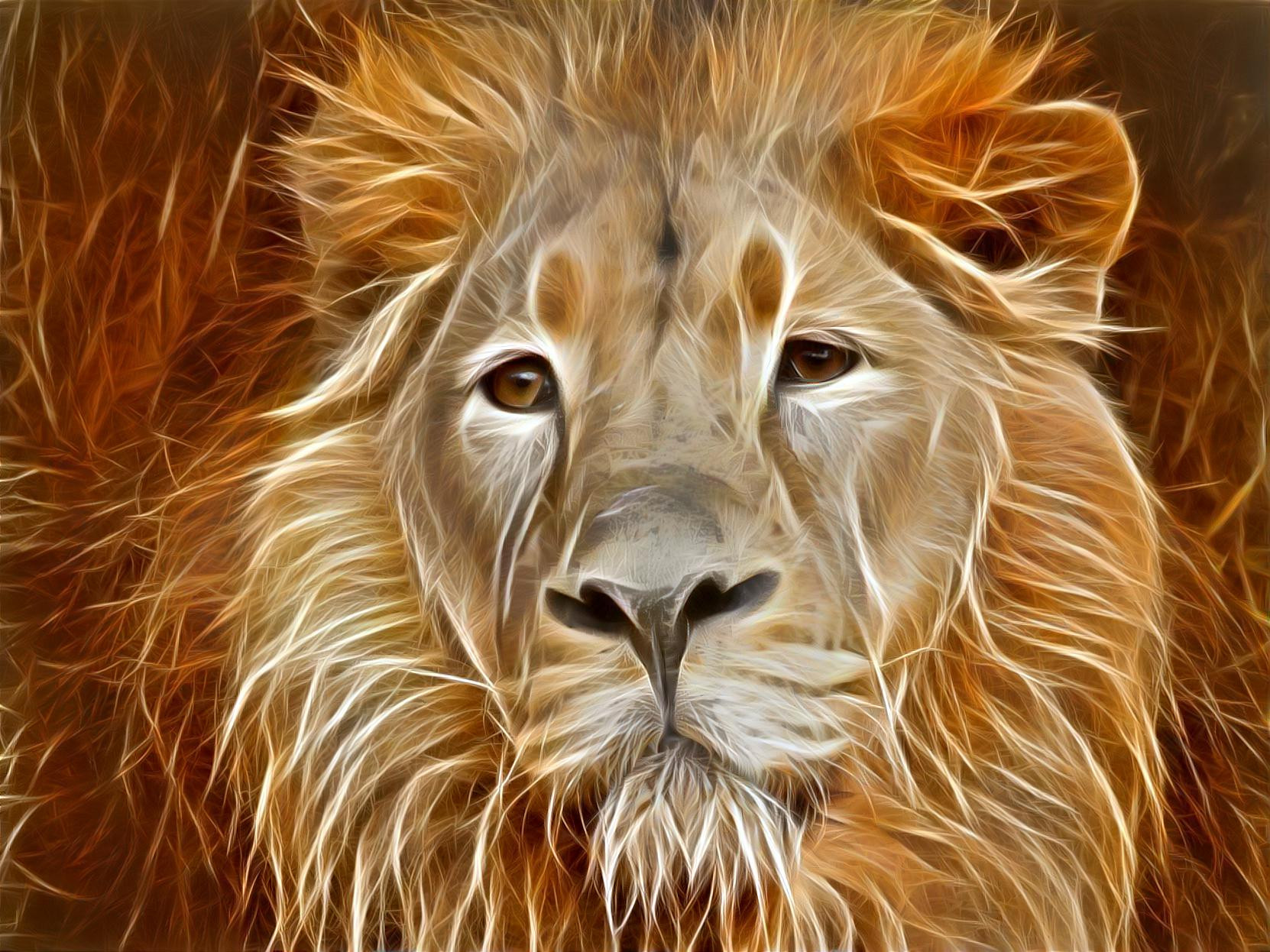 Lion Face