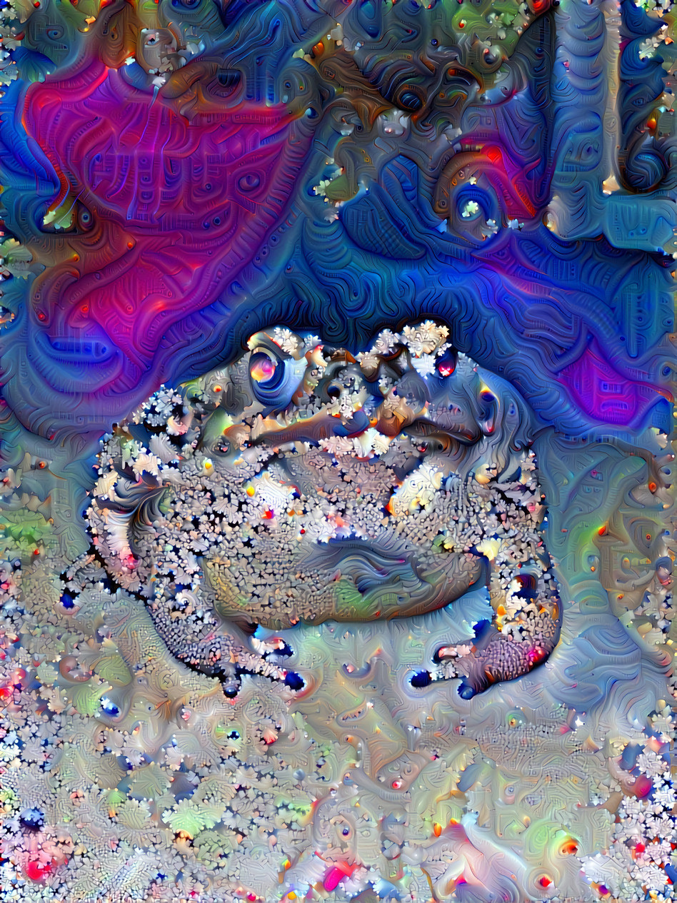 Fractalised frogs