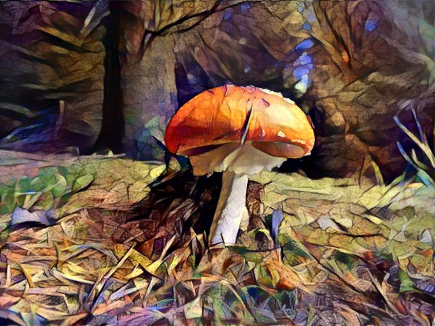 toadstool 