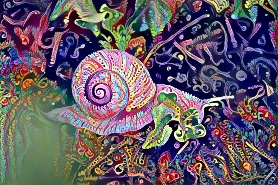 Color ful snail 