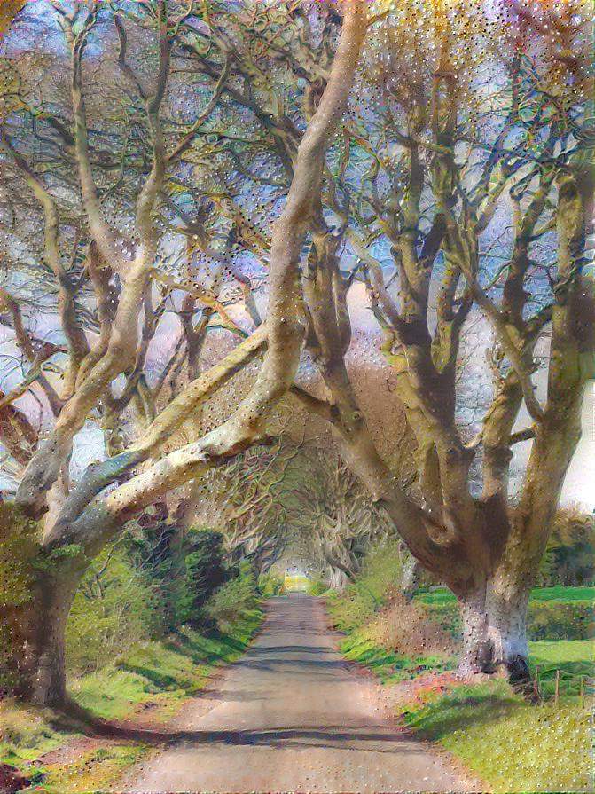 Dark Hedges 