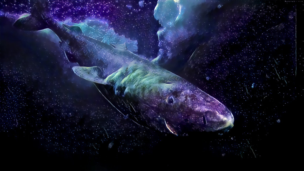 Space Shark