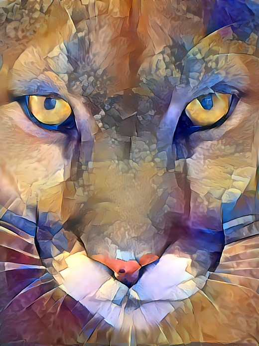 Deep Dream: Cougar (Ver.2)