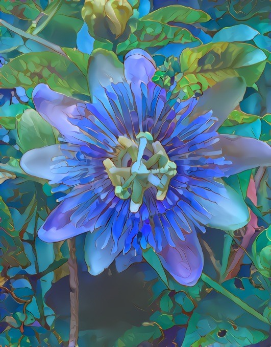 Passion Flower