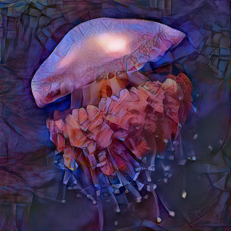 Jelly fish