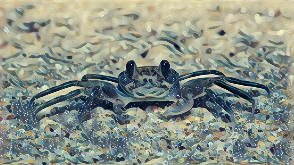 Ghost Crab