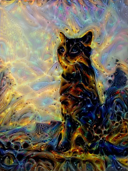 Molten Meow