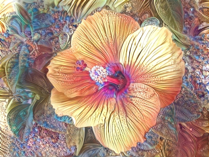 Hibiscus