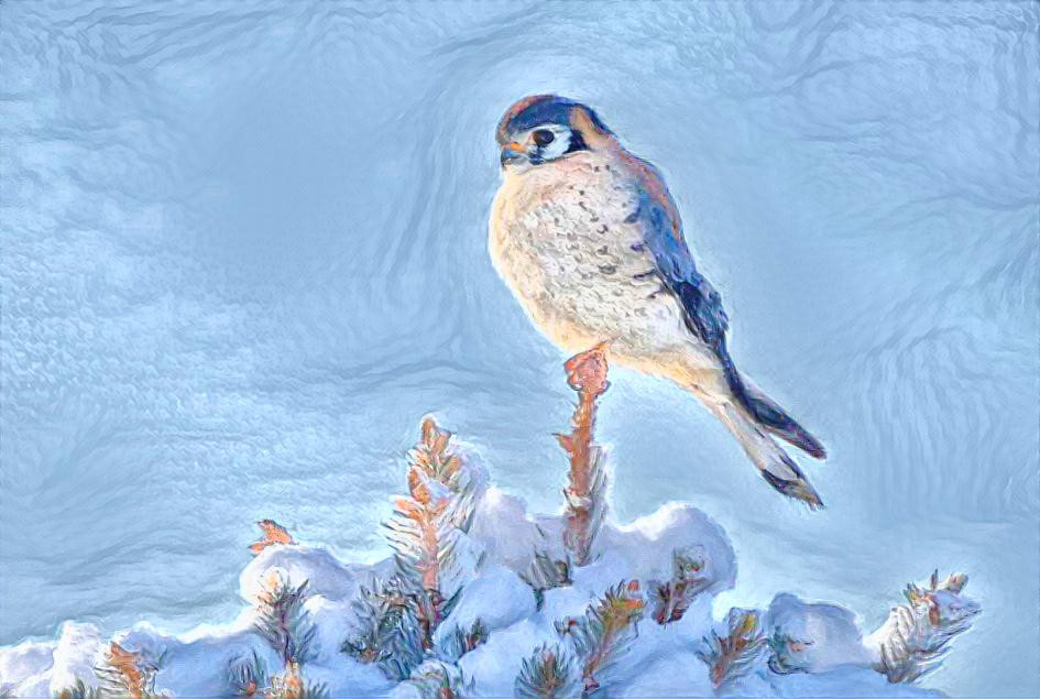 Winter Bird