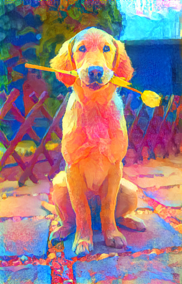 Rainbow Retriever 