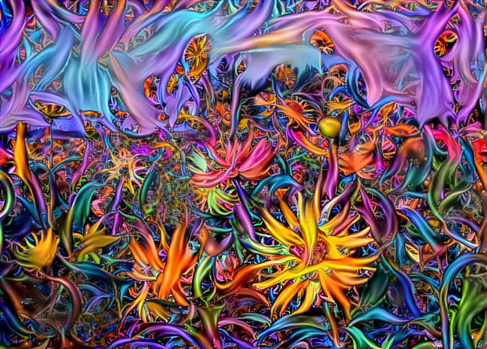 Chaos dahlias