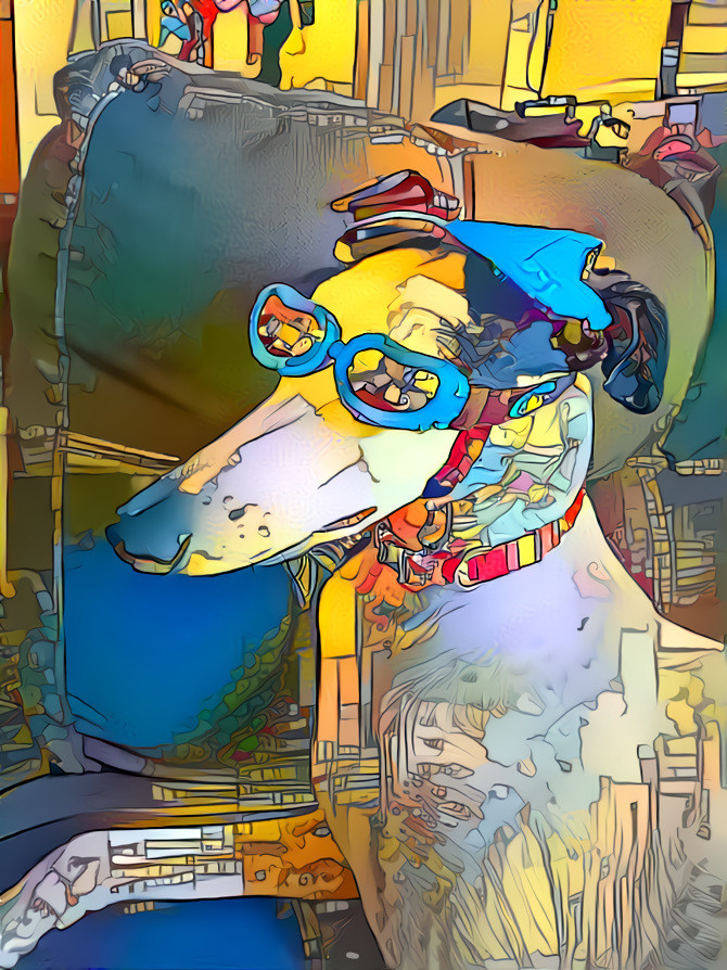 COOL DOG