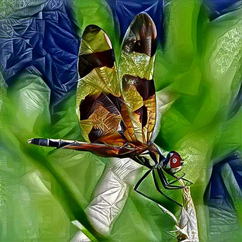 Dragonfly