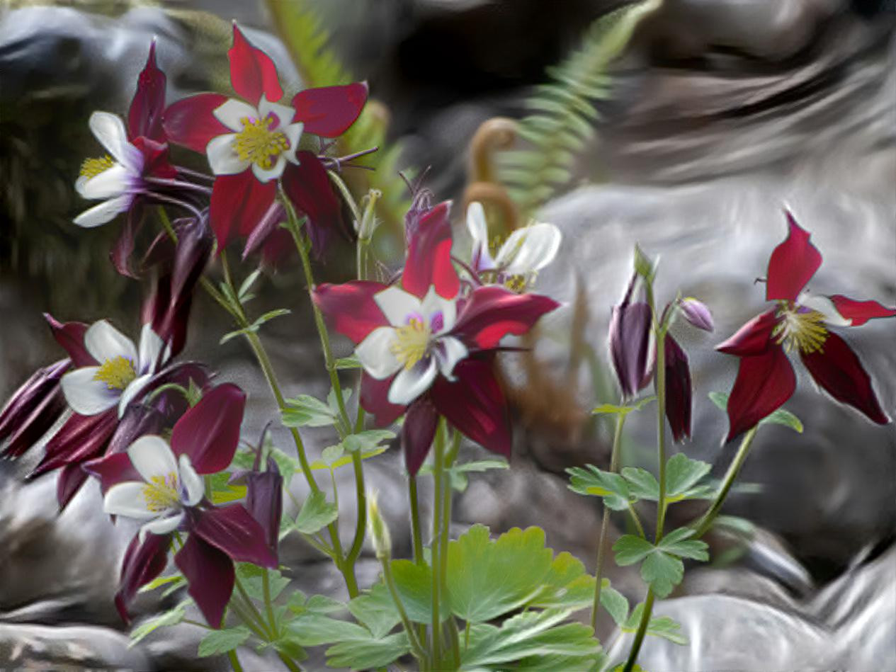 Columbine