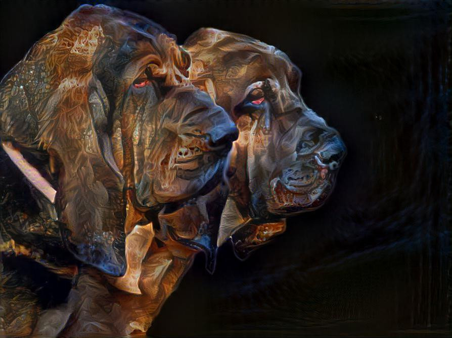 My bloodhound boys: Vondracek & his son Peppino