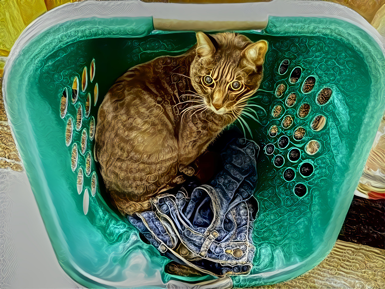 CatBear Enjoys Unlaundered Levi's