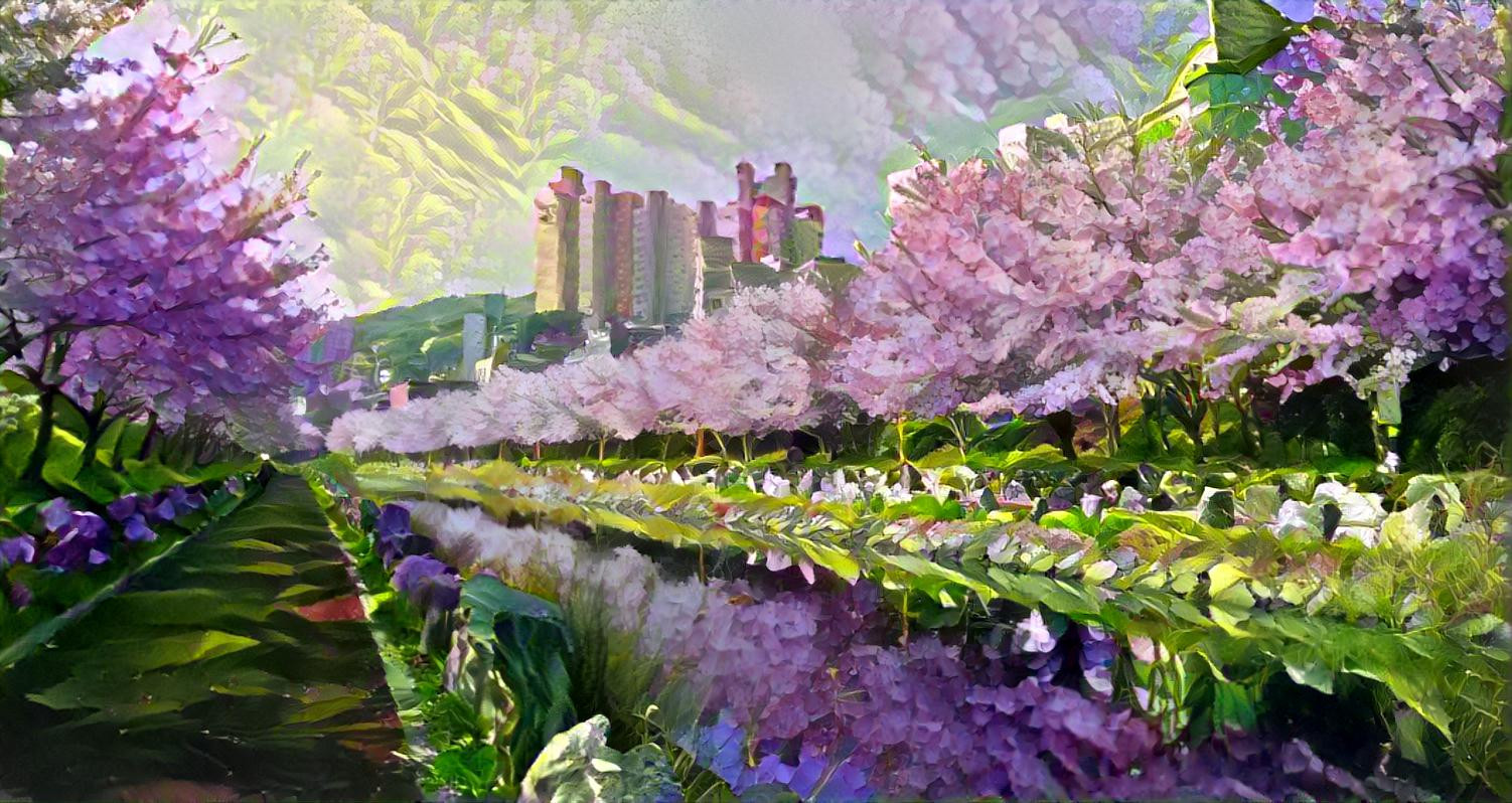 Waterfront park and hydrangeas-2020A