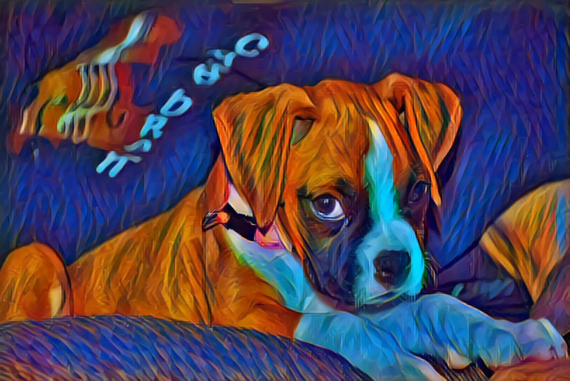 My puppy