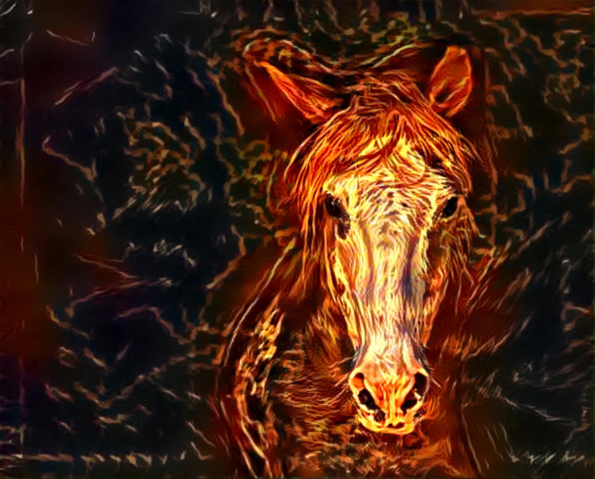 Fire Horse