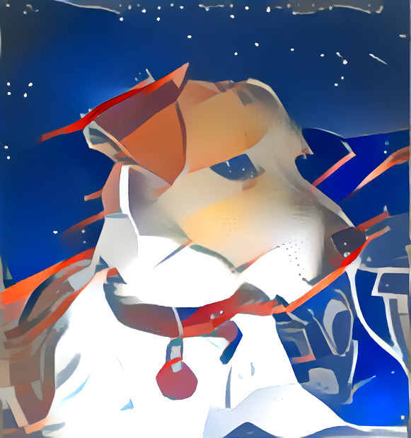 Space NASA Doggo